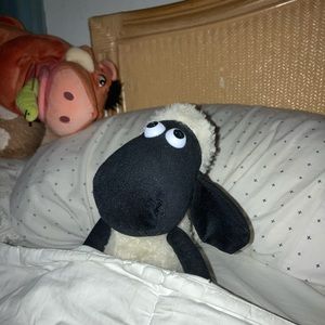 Meet your Posher, Barbara